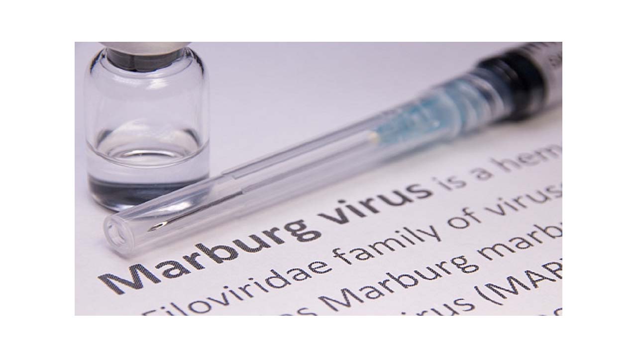 فيروس ماربورغ الجديد.. الأعراض وطريقة العدوي